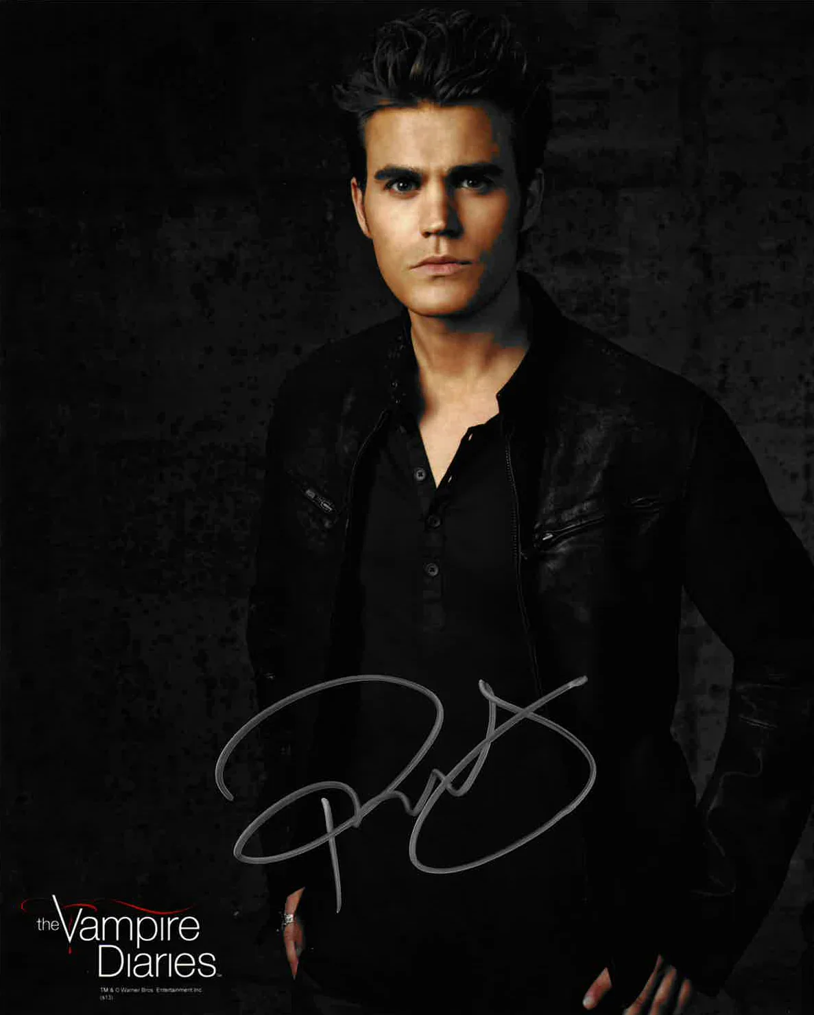 THE VAMPIRE DIARIES